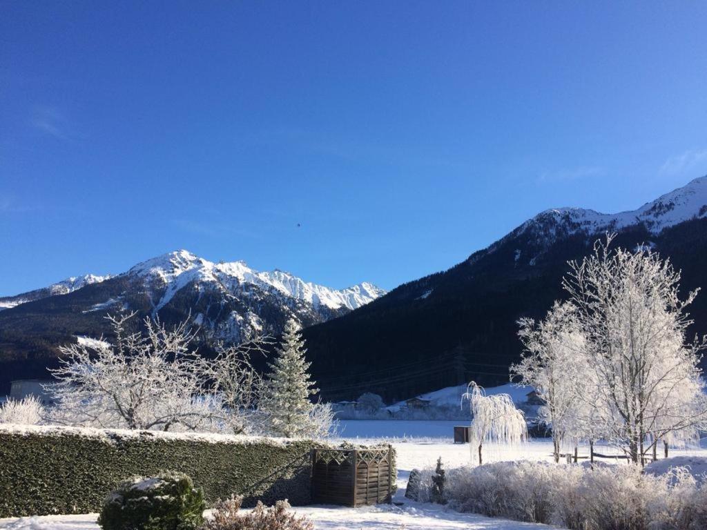 Apartment Wildalmblick Neukirchen am Großvenediger 外观 照片
