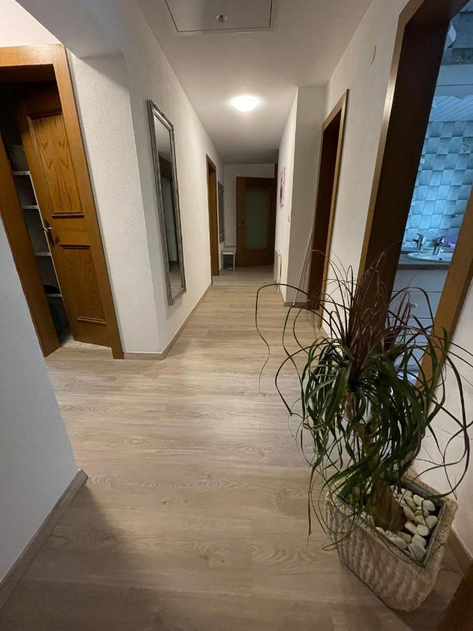 Apartment Wildalmblick Neukirchen am Großvenediger 外观 照片